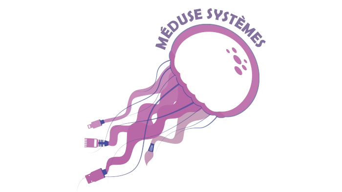 Meduse Systeme